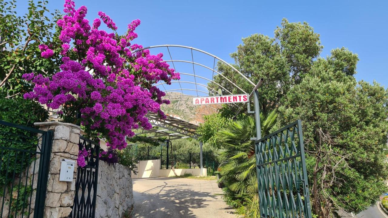 Apartments Kust Mlini Εξωτερικό φωτογραφία