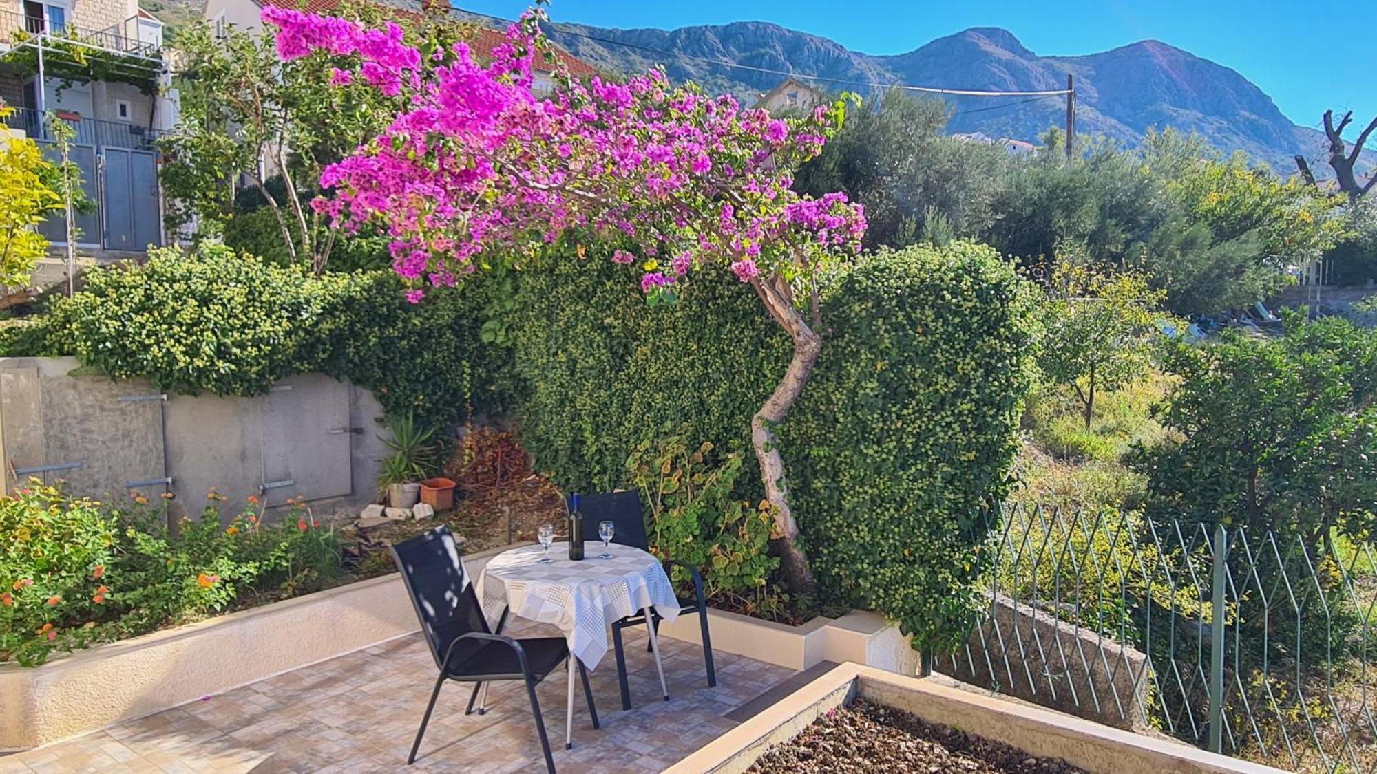 Apartments Kust Mlini Δωμάτιο φωτογραφία